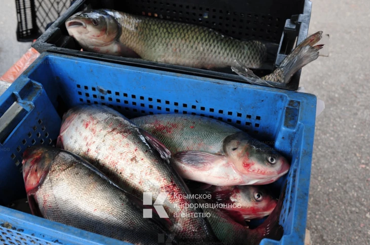 🐟Более 30 килограммов рыбы сняли с реализации в Крыму по результатам проверок Роспотребнадзора

Не 