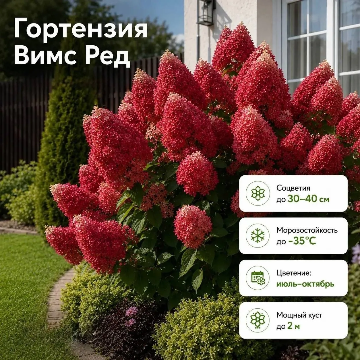 САД, КОТОРЫЙ ПОРАЖАЕТ: гортензии-гиганты 😱