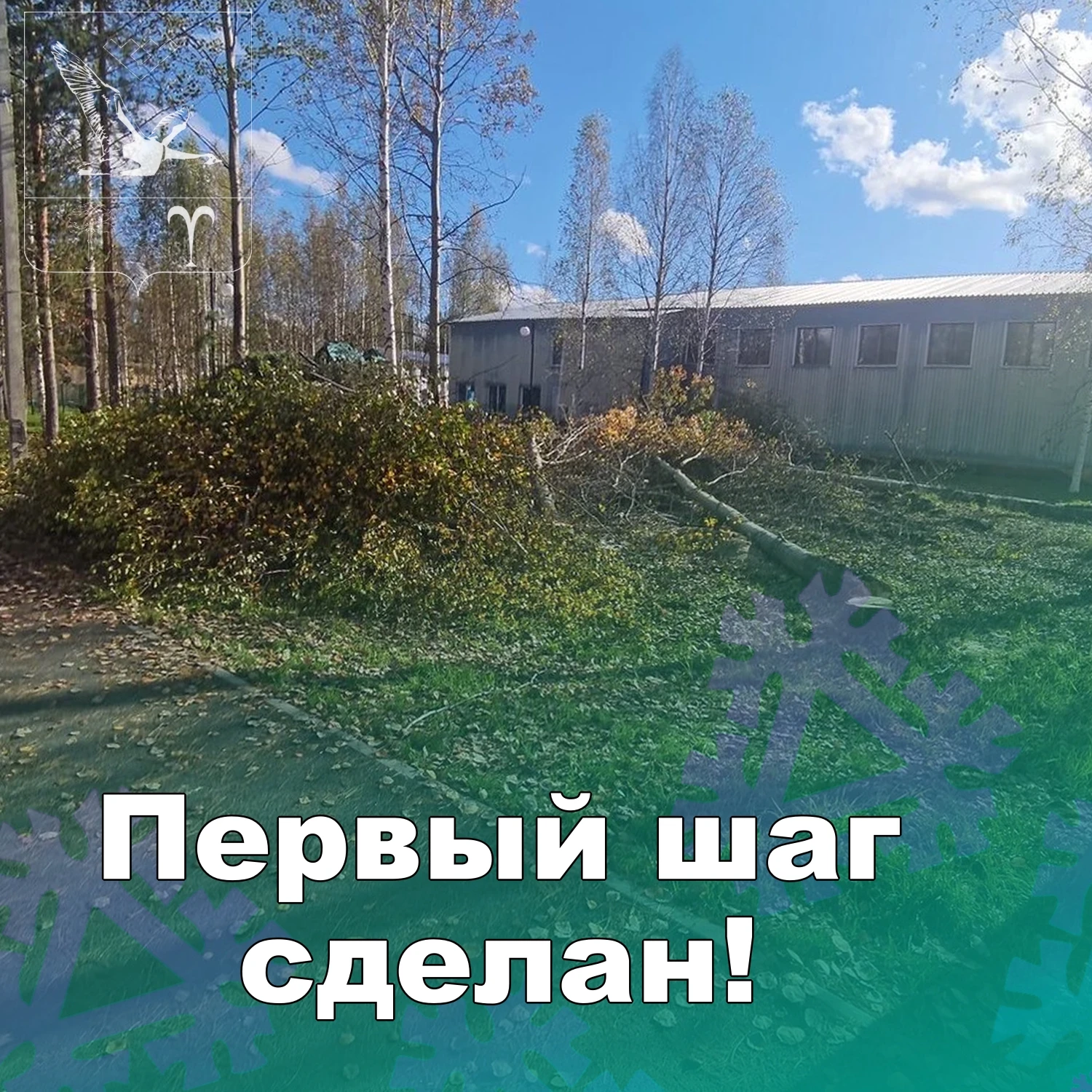 🌳🔨 Началась вырубка под будущую детскую игровую площадку!