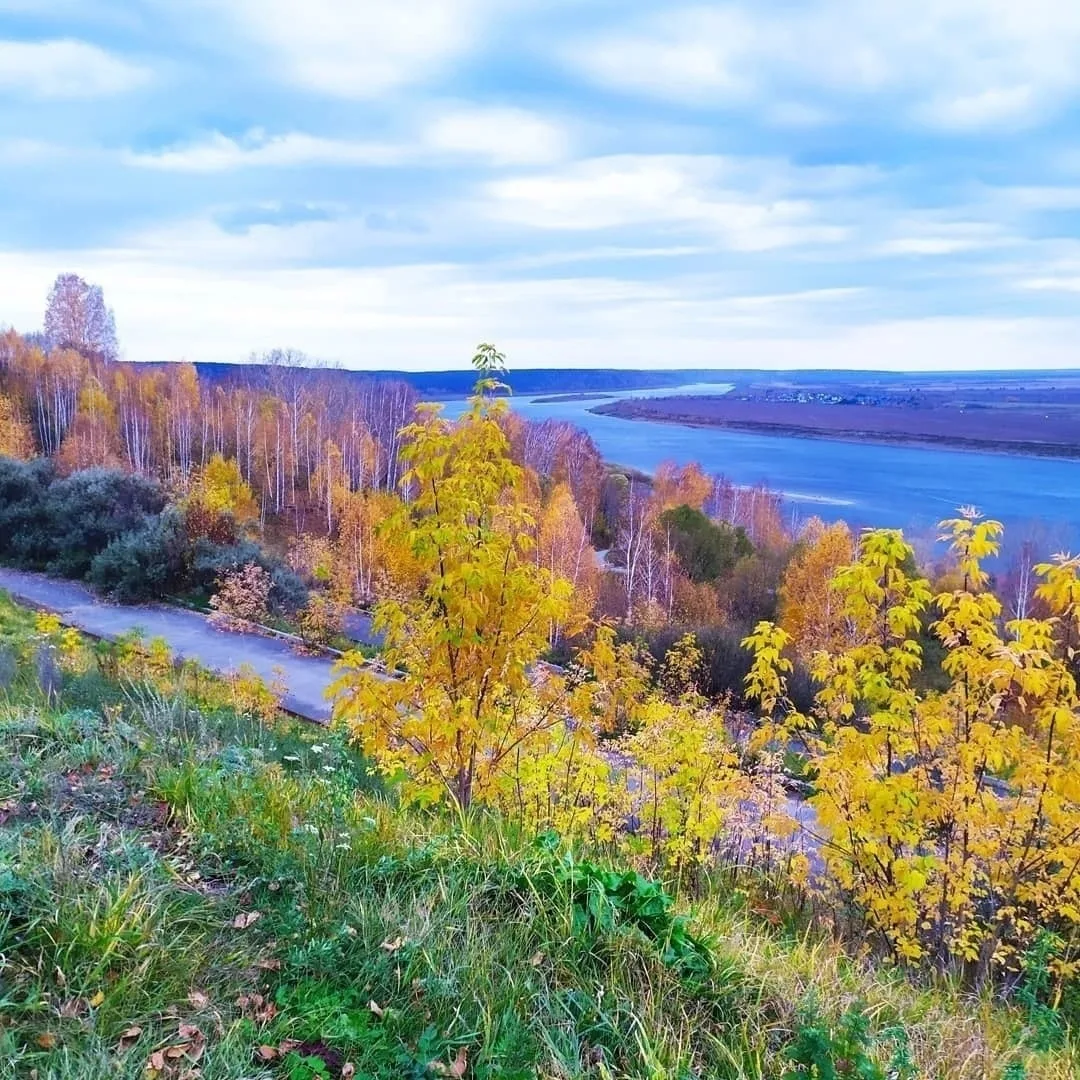 Лагерный сад🍂
