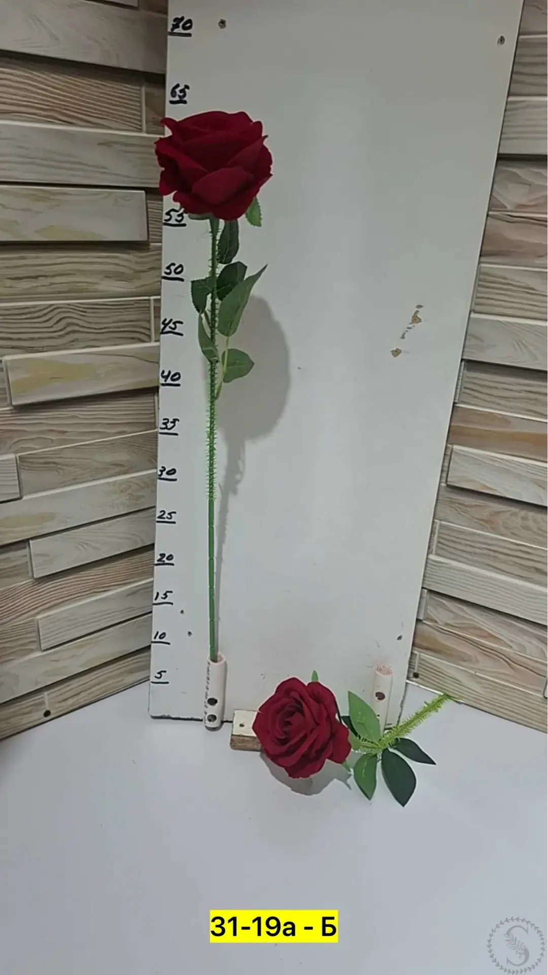 https://vk.com/photo-184814919_493427594