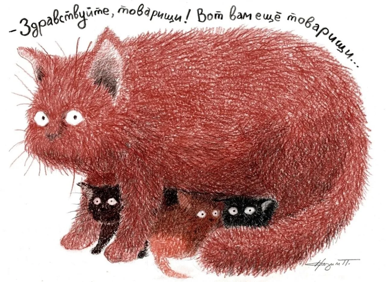 Здравствуйте, товарищи!