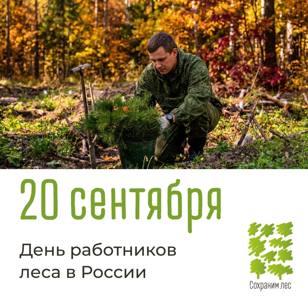 С Днем работников леса! 🌲