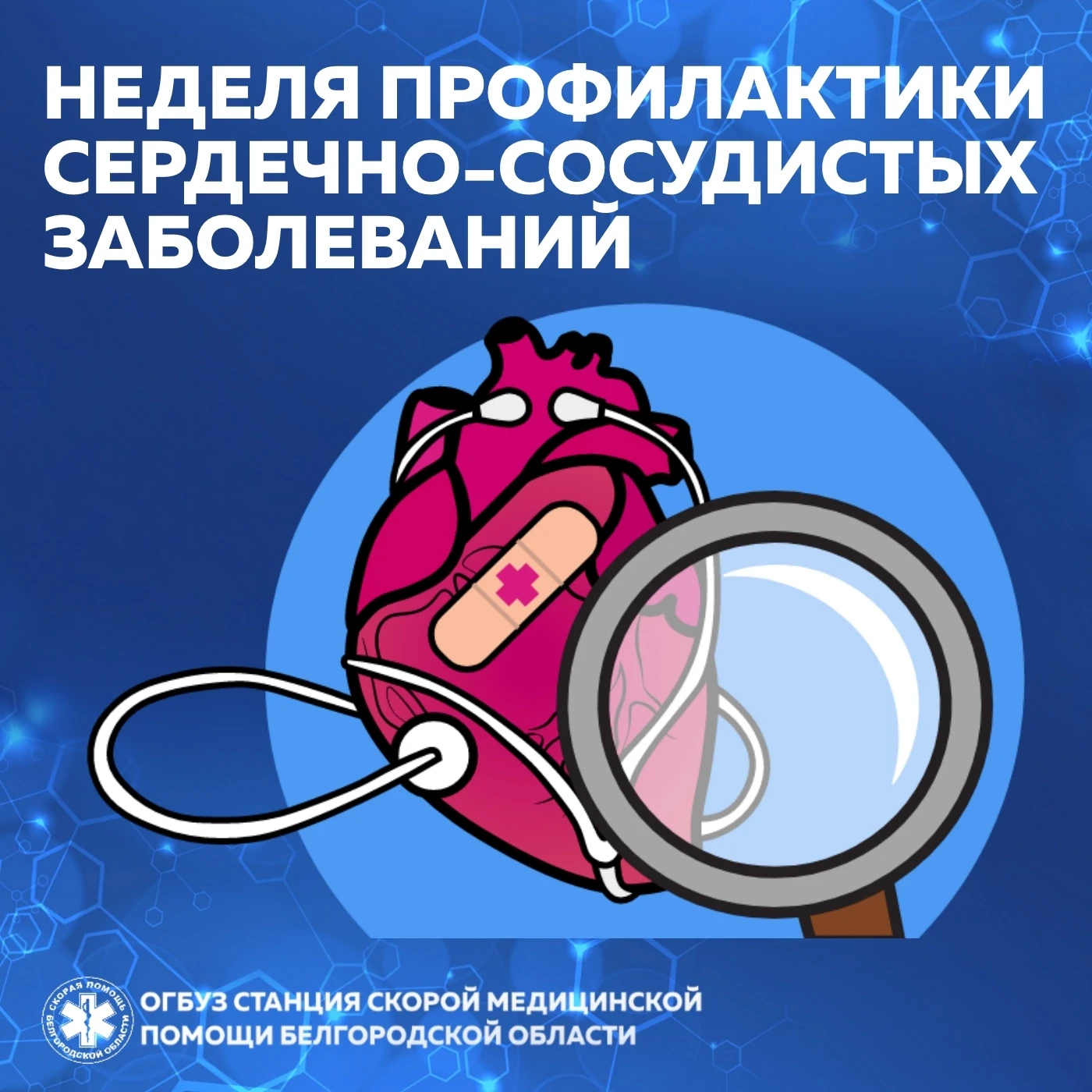 ❤❗С 10 по 16 августа – «Неделя профилактики сердечно-сосудистых заболеваний» приурочена...