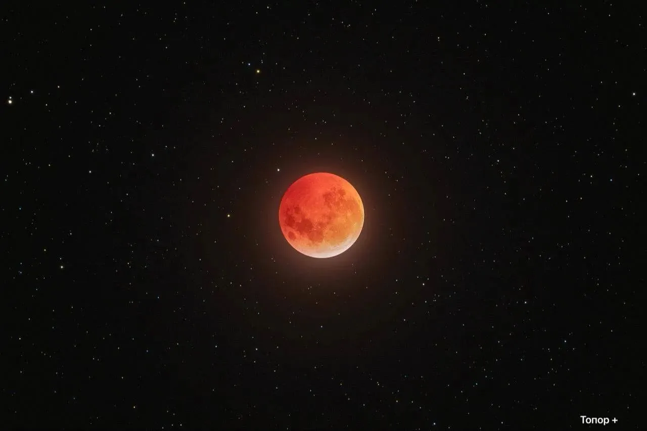 🌕Готовьтесь к магии: над Ставропольем вот-вот взойдёт Оленья Луна

В ночь на 29 и 30 июля небо пода