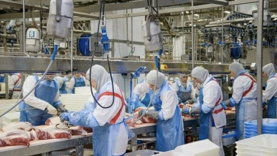 Мясной рынок России в 2026 году: производство, цены, потребление, свинина, птица, говяд...