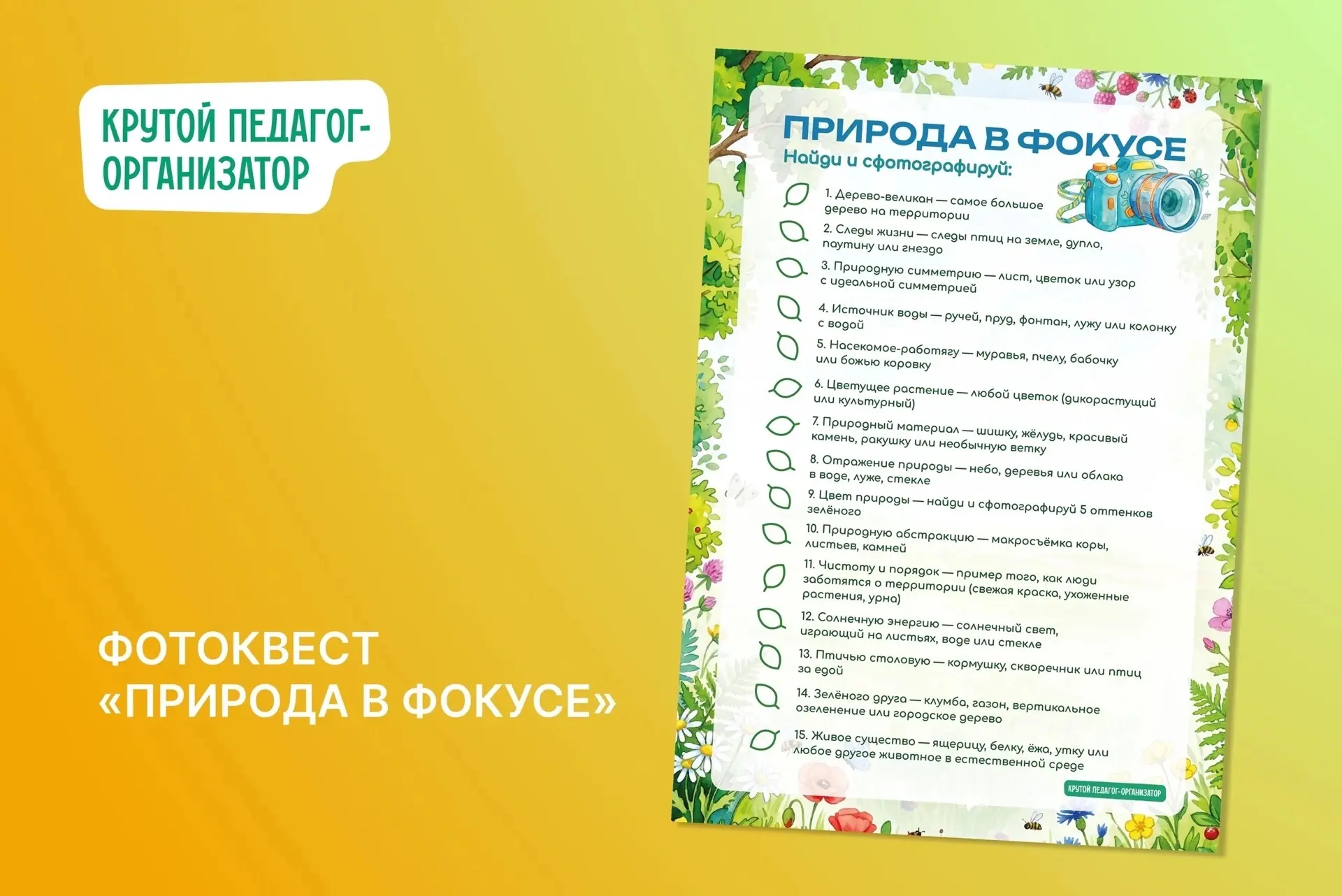 🌱 Экологический фотокросс «Природа в фокусе» — авторская разработка дизайнеров «Крутого педагога-ор