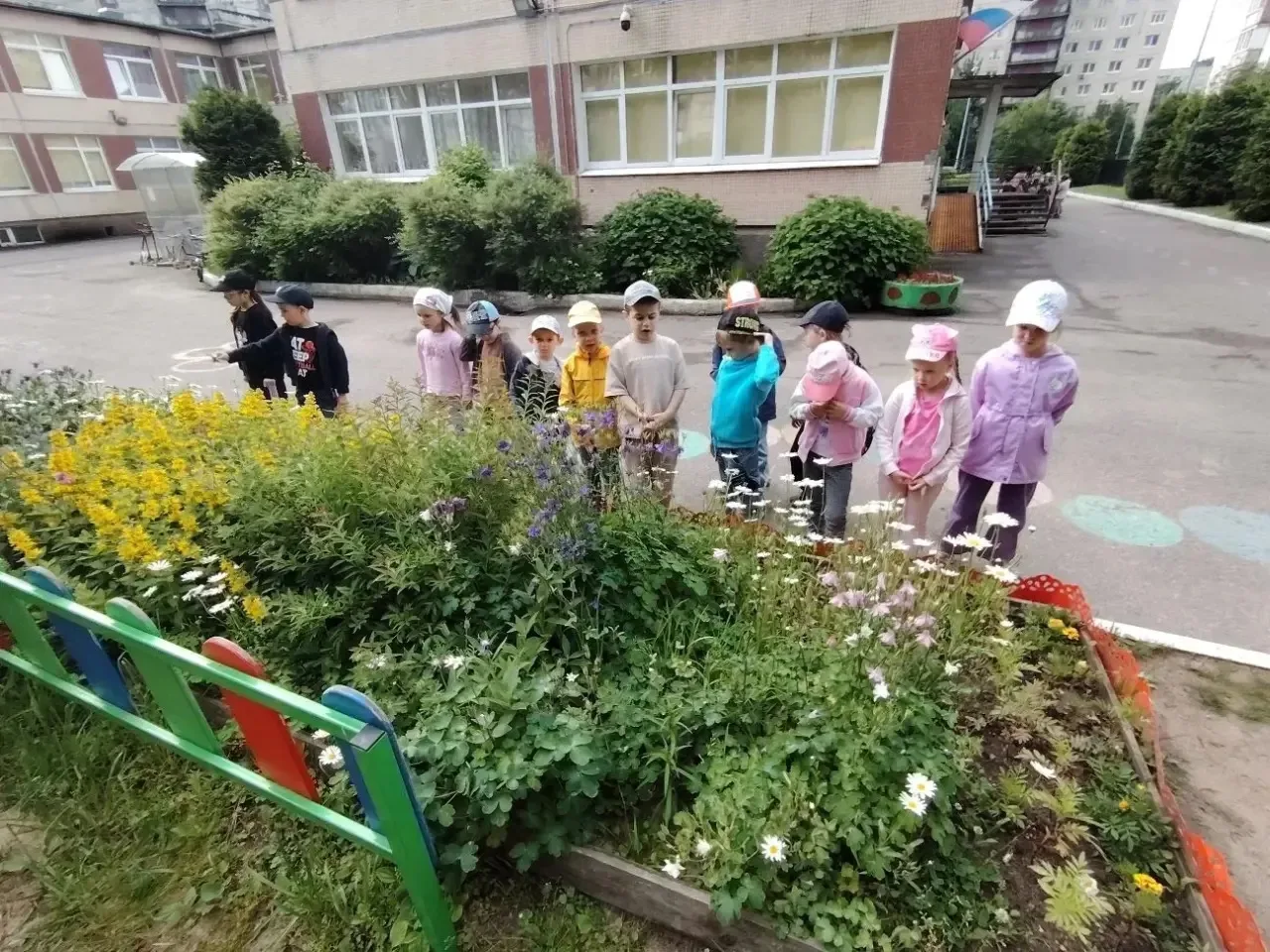 🌿 Сегодня воспитанники 7 группы превратились в настоящих знатоков природы: мы знакомил...