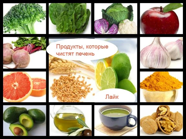 Да уйдёт жир с пуза в чужие рейтузы!

Сельдерей ПП рецепты