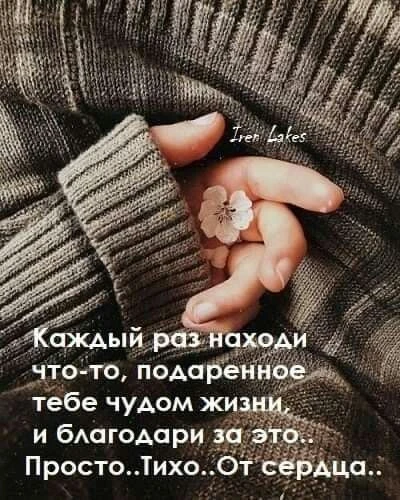 https://max.ru/invista123456