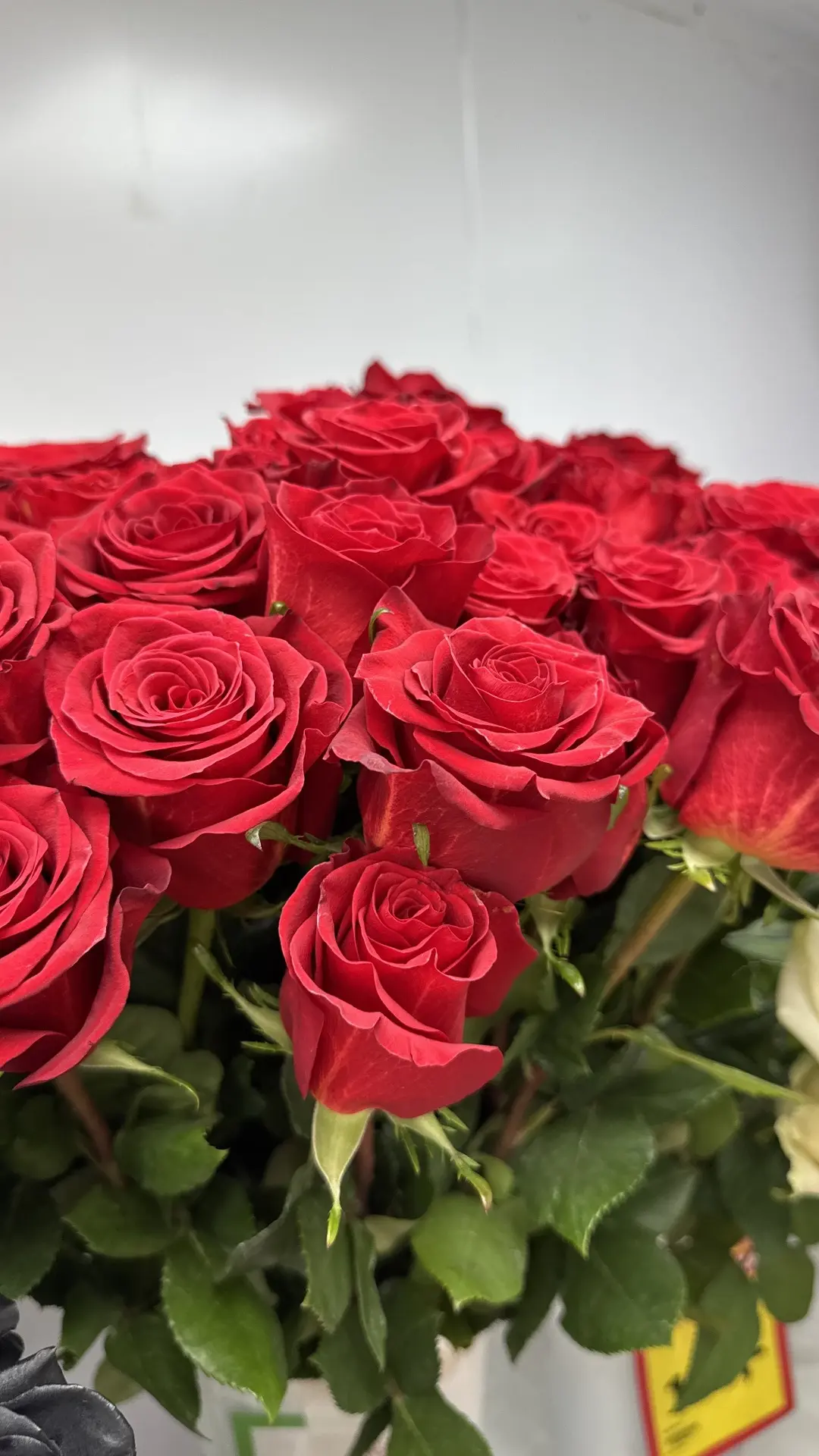 🌹 Свежесрезанные цветы по ОПТОВЫМ ценам в Планета Лета🌹
