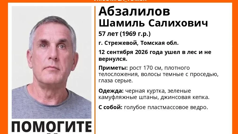 Стрежевчанин ушел в лес за грибами и не вернулся: начались поиски