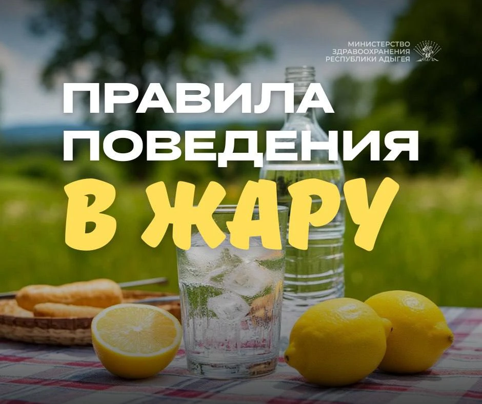 Правила поведения в жаркую погоду:

✅️Что полезно?

✔️Пейте достаточно воды

Пейте обычную воду, мин