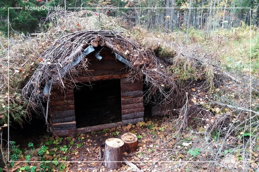 Устьвымец погиб в картофелехранилище