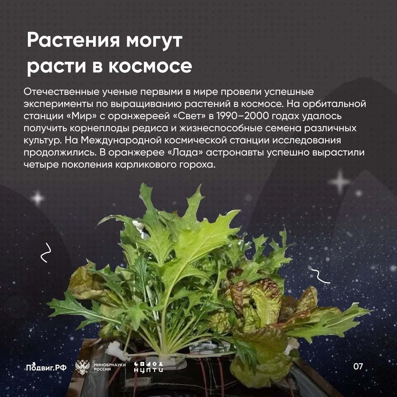 В 2026 году в России впервые проходит Неделя космоса — с 6 по 12 апреля. Соответствующий указ подпис