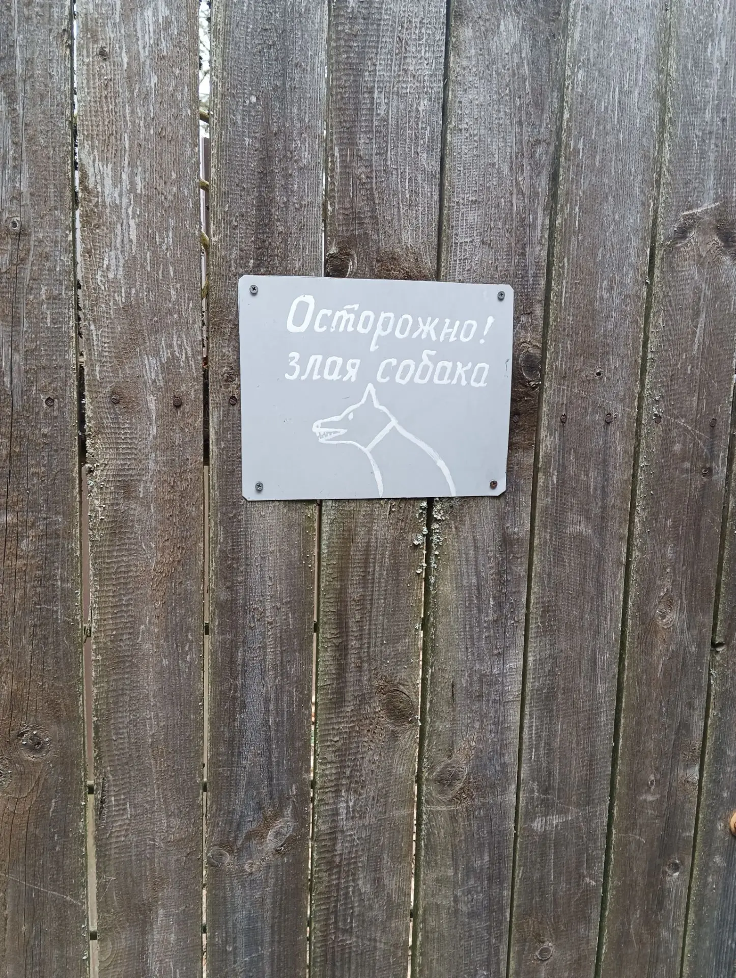 Геодезист собаке друг, но вот собаки не всегда так считают 🙂 Меня кусали лишь раз 😁