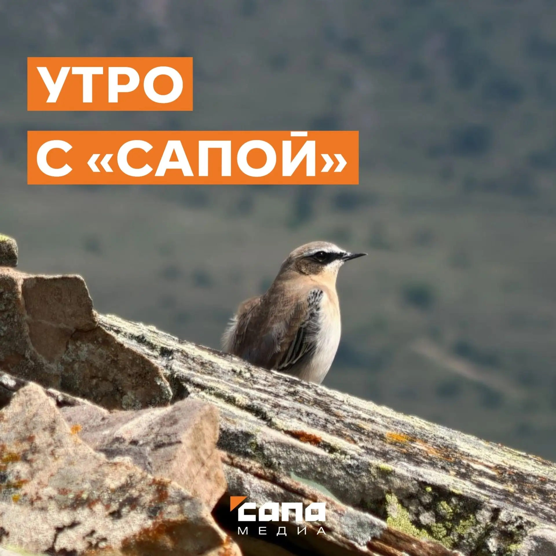 Информация, которая может тебе пригодиться