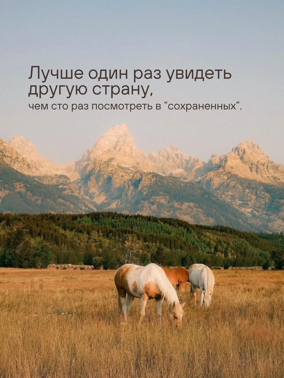 Зачем путешествовать?

Чтобы от вида, которого нет в соцсетях, сбился ритм сердца. Чтобы почувствова