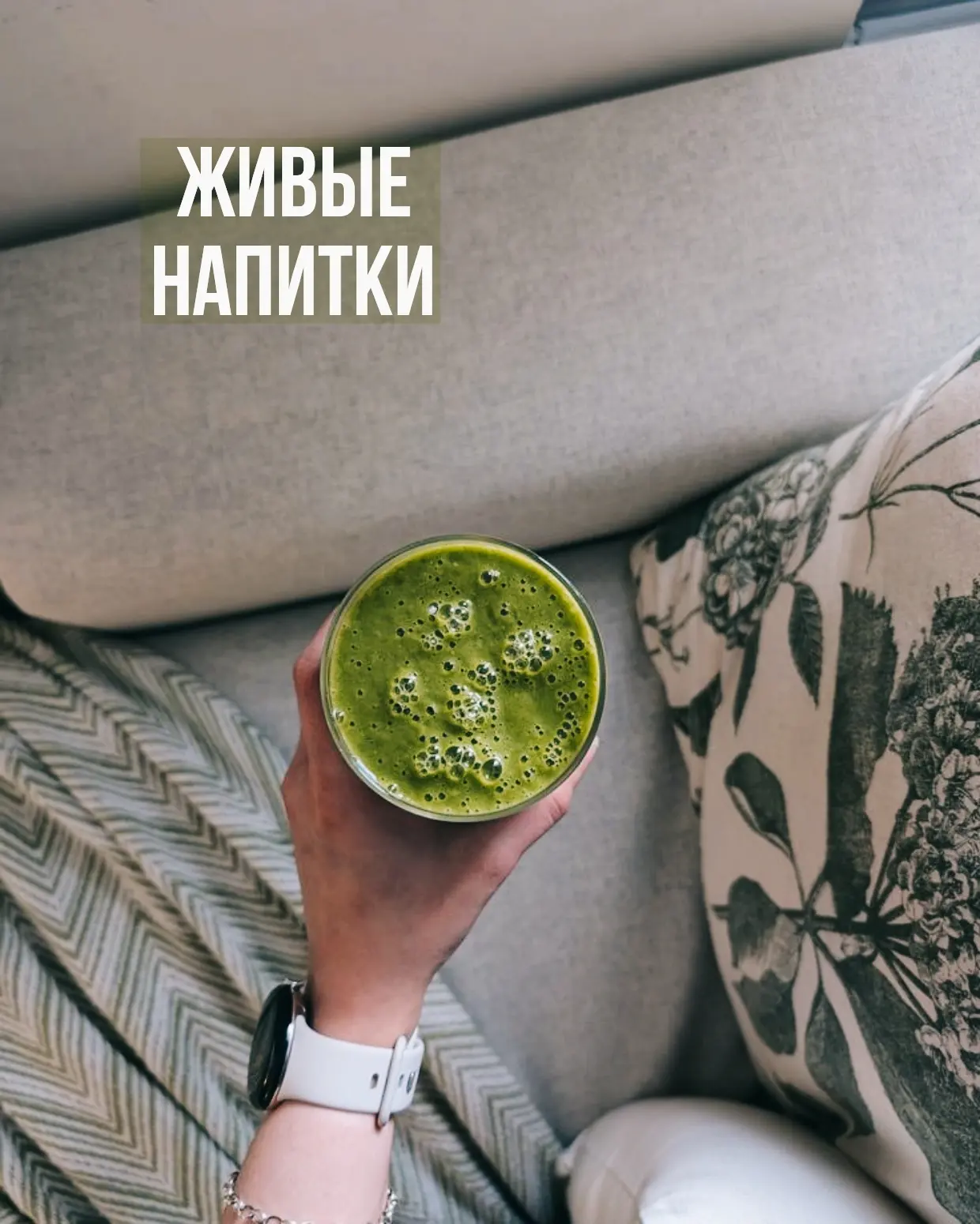 ‍ЖИВЫЕ ЗЕЛЕНЫЕ КОКТЕЙЛИ