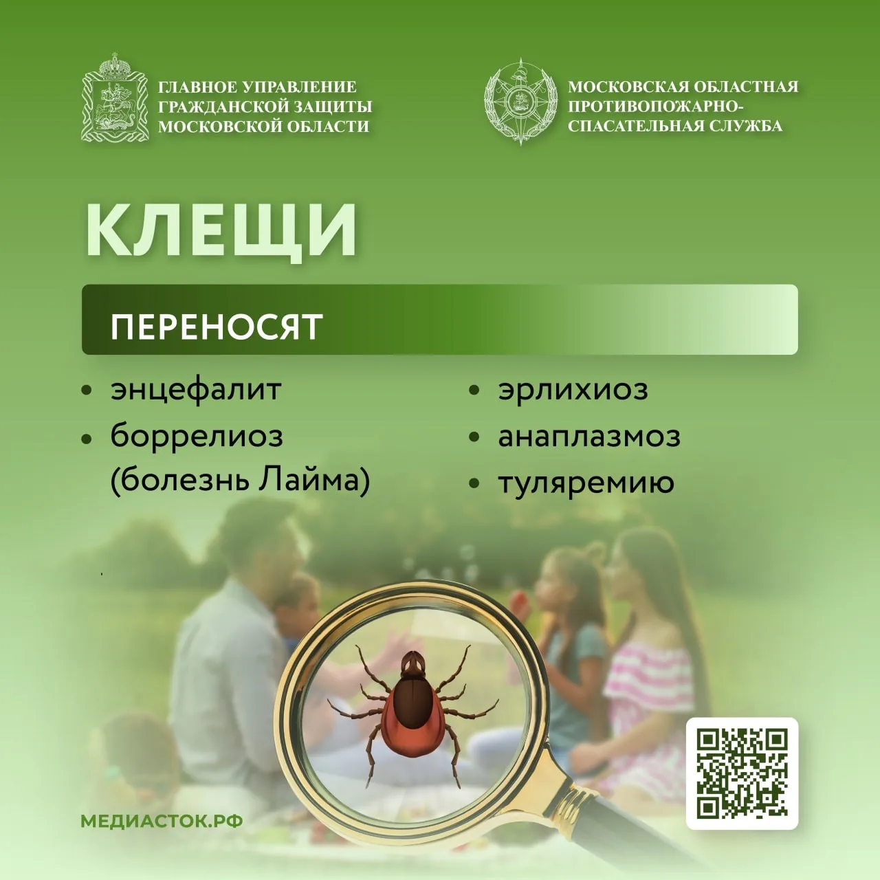 В России сезон активности клещей начался раньше из-за резкого весеннего потепления.