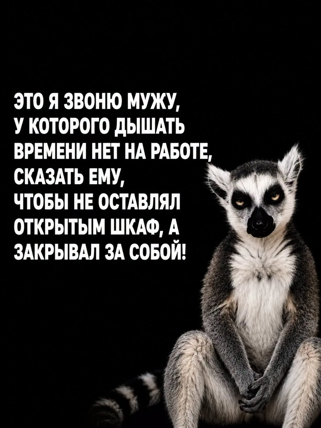 ну а чо он