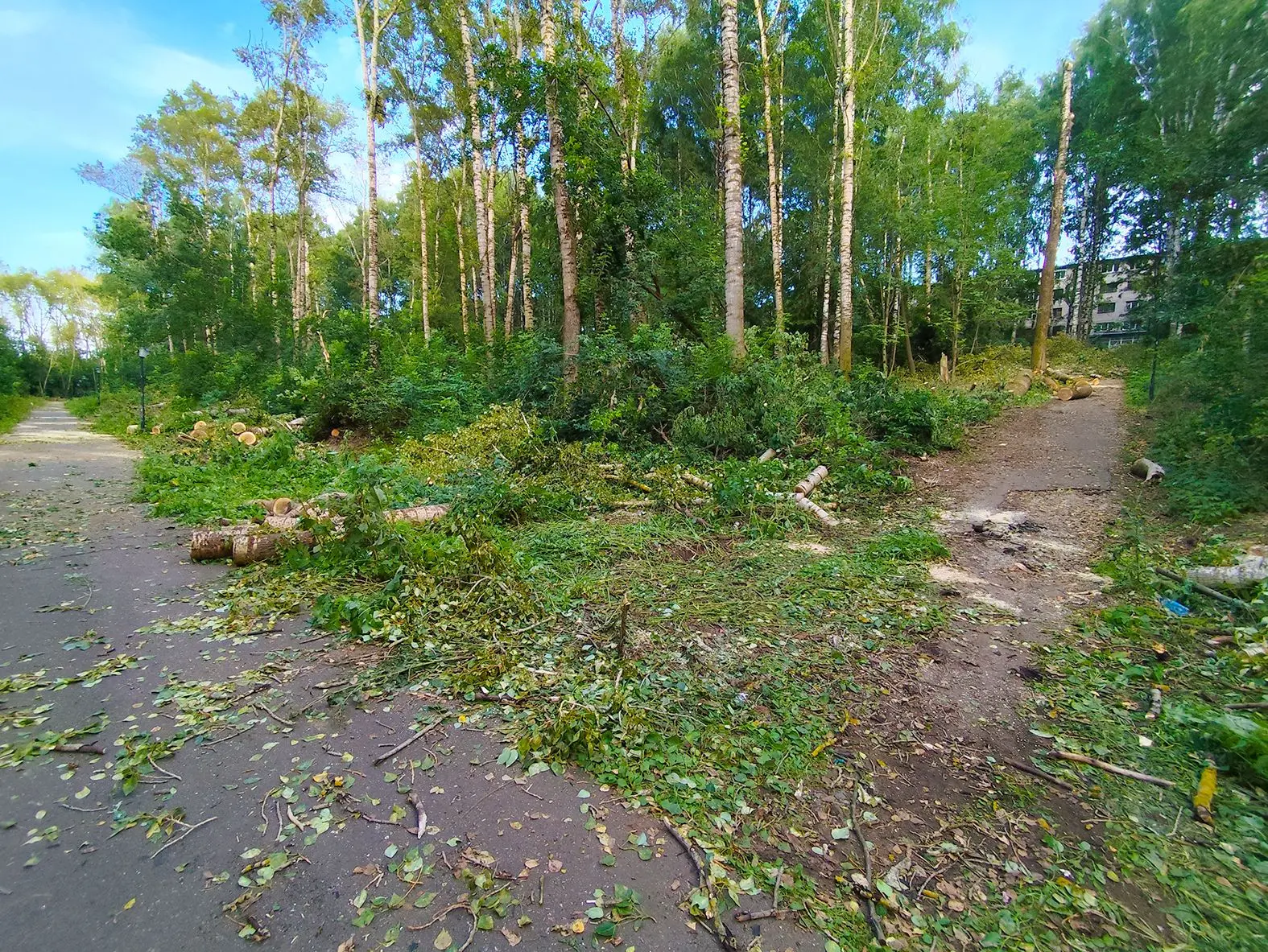 Стало заметно лучше, но работы ещё много