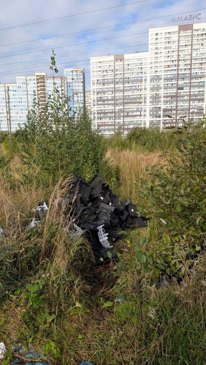 Жители сообщают о незаконной торговле у метро «Девяткино» и мусоре на прилегающей терри...