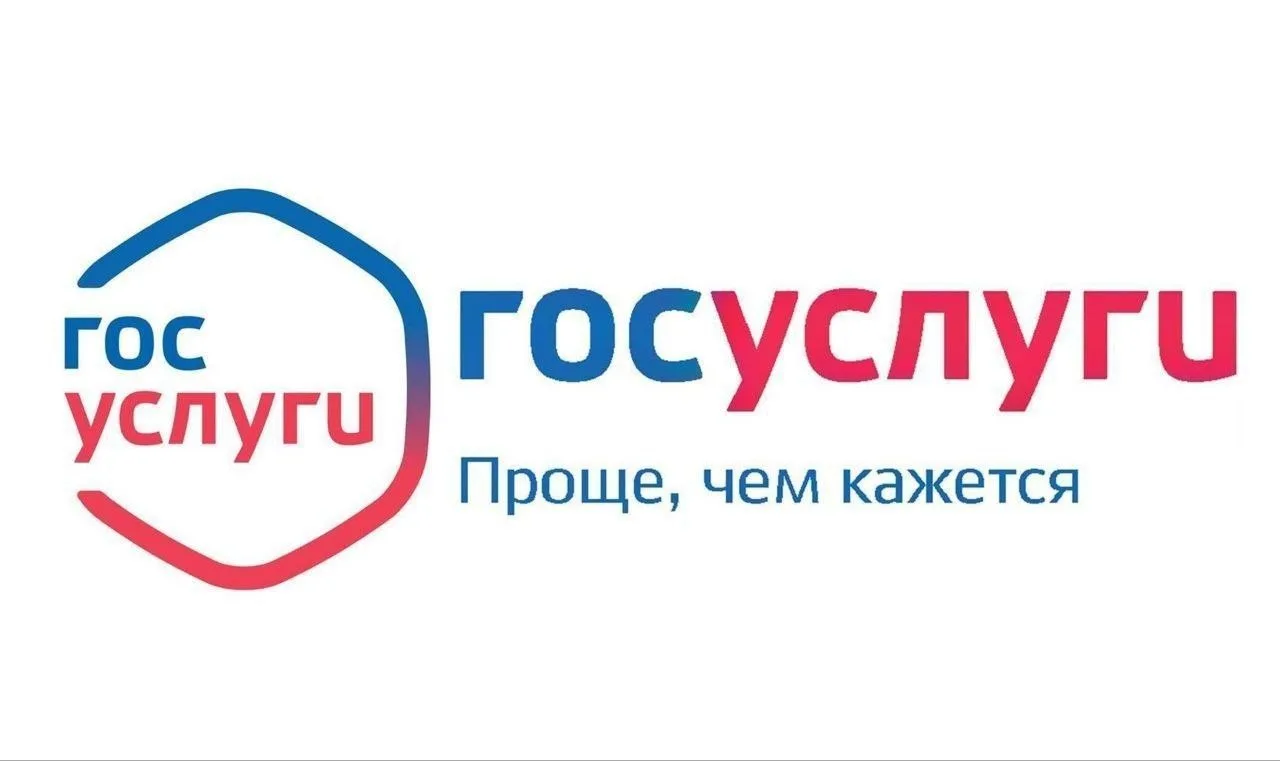 «Госуслуги» могут стать соцсетью

Правительство обсуждает запуск в приложении домовых чатов, тематич