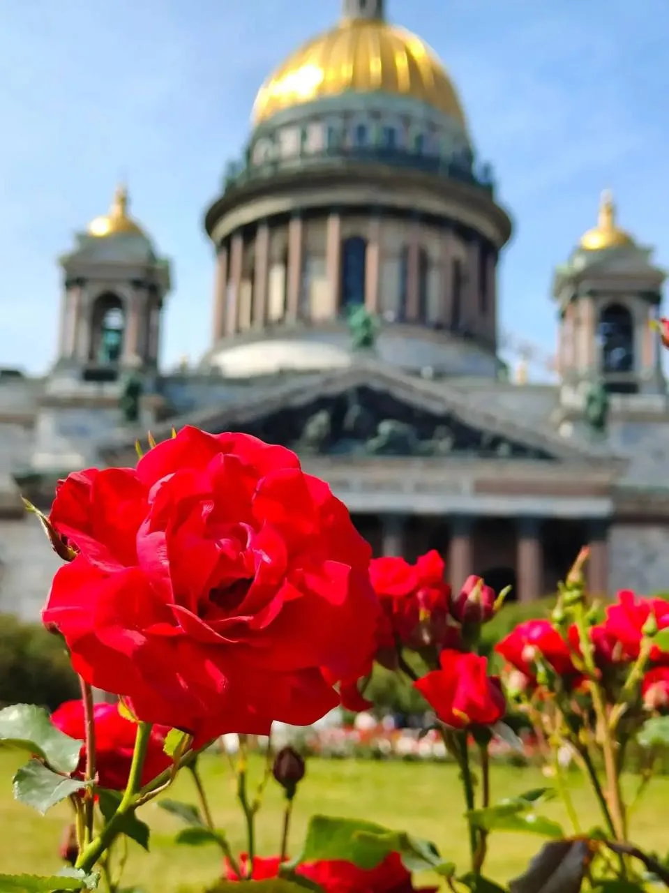 Что нас ждёт в августе?