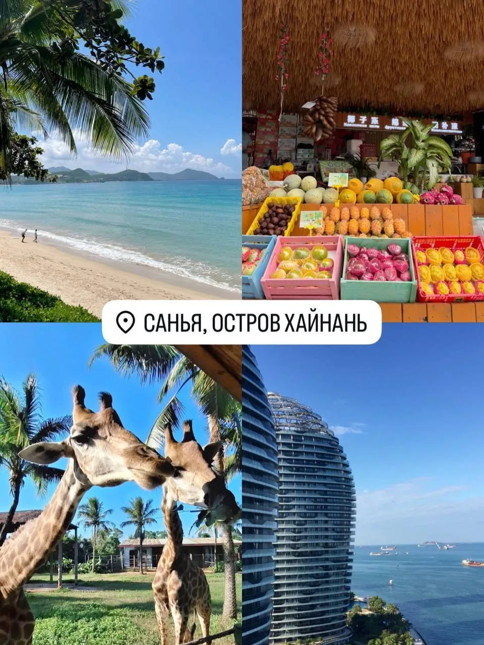 🇨🇳Куда поехать в Китае в 2026 году?

Китай — это не только Великая Китайская стена и Пекин. Здесь 