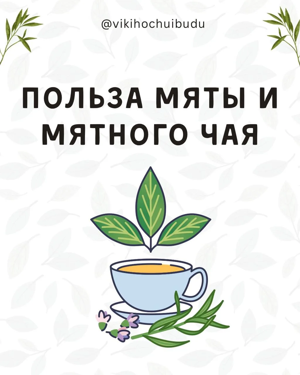 Знаете, откуда у мяты такое звучное имя? 

От древнегреческой богини Минты. И  растение полностью оп