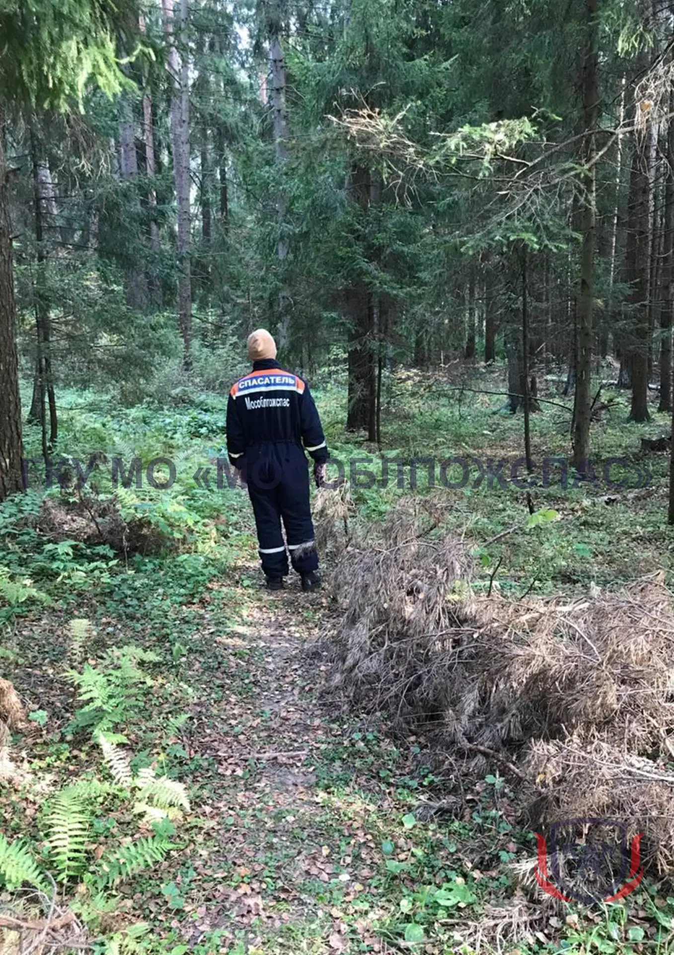 🚨 Спасатели пришли на выручку заблудившимся грибникам