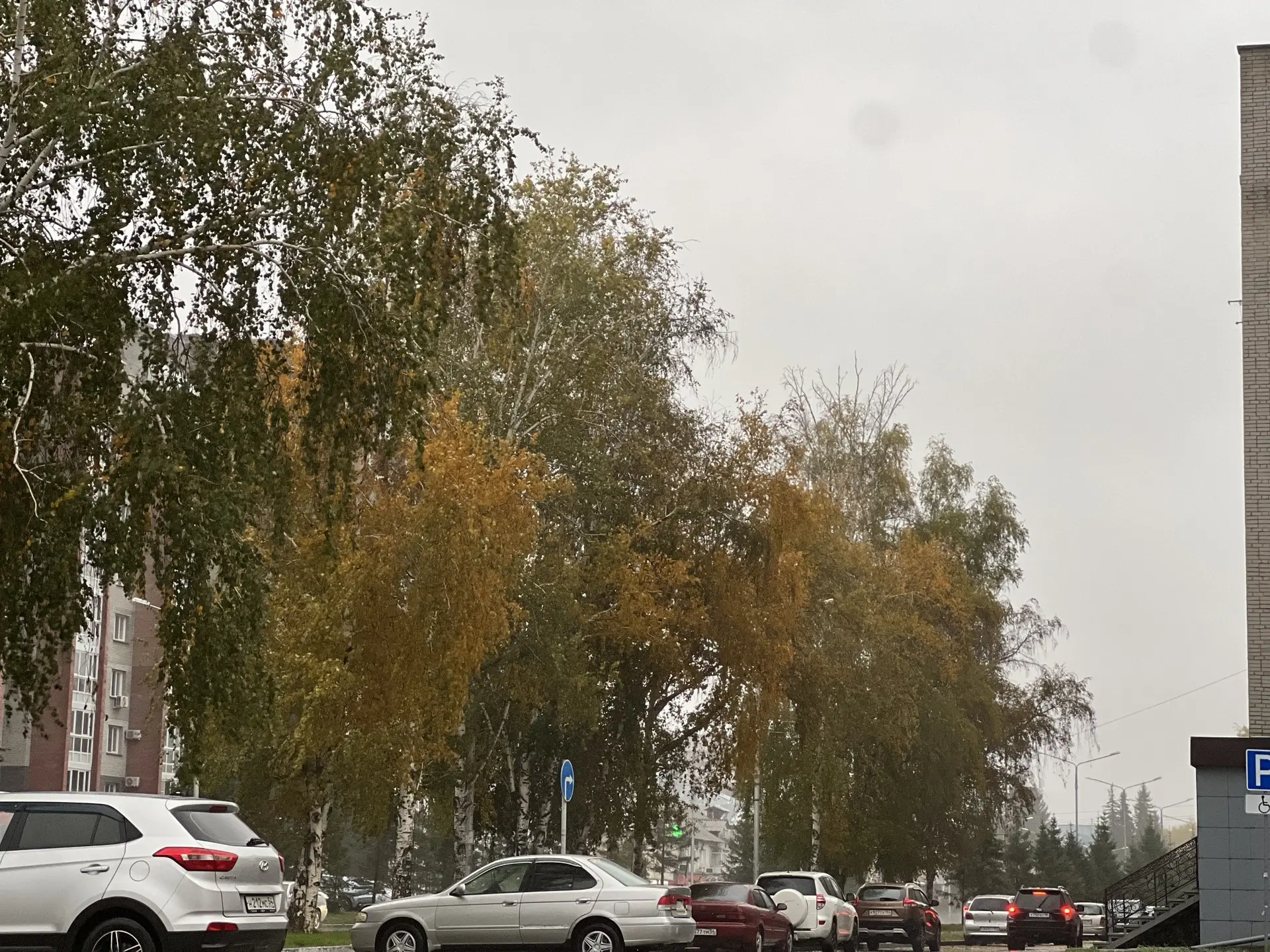 Доброе утро, Бердск! За окном 5 октября, понедельник
