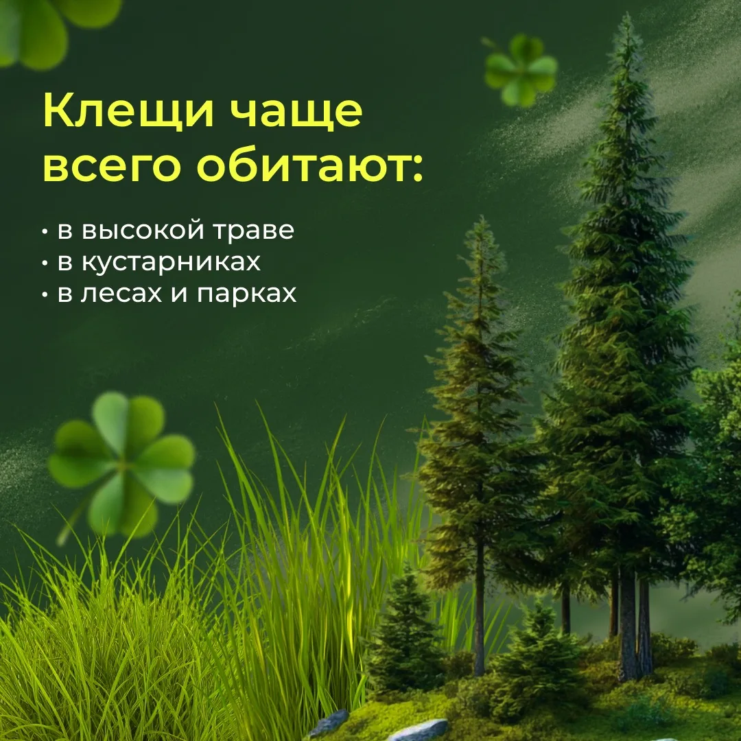 ☀️ Совсем скоро начнутся летние каникулы — время прогулок, поездок, отдыха у бабушки и на природе.  