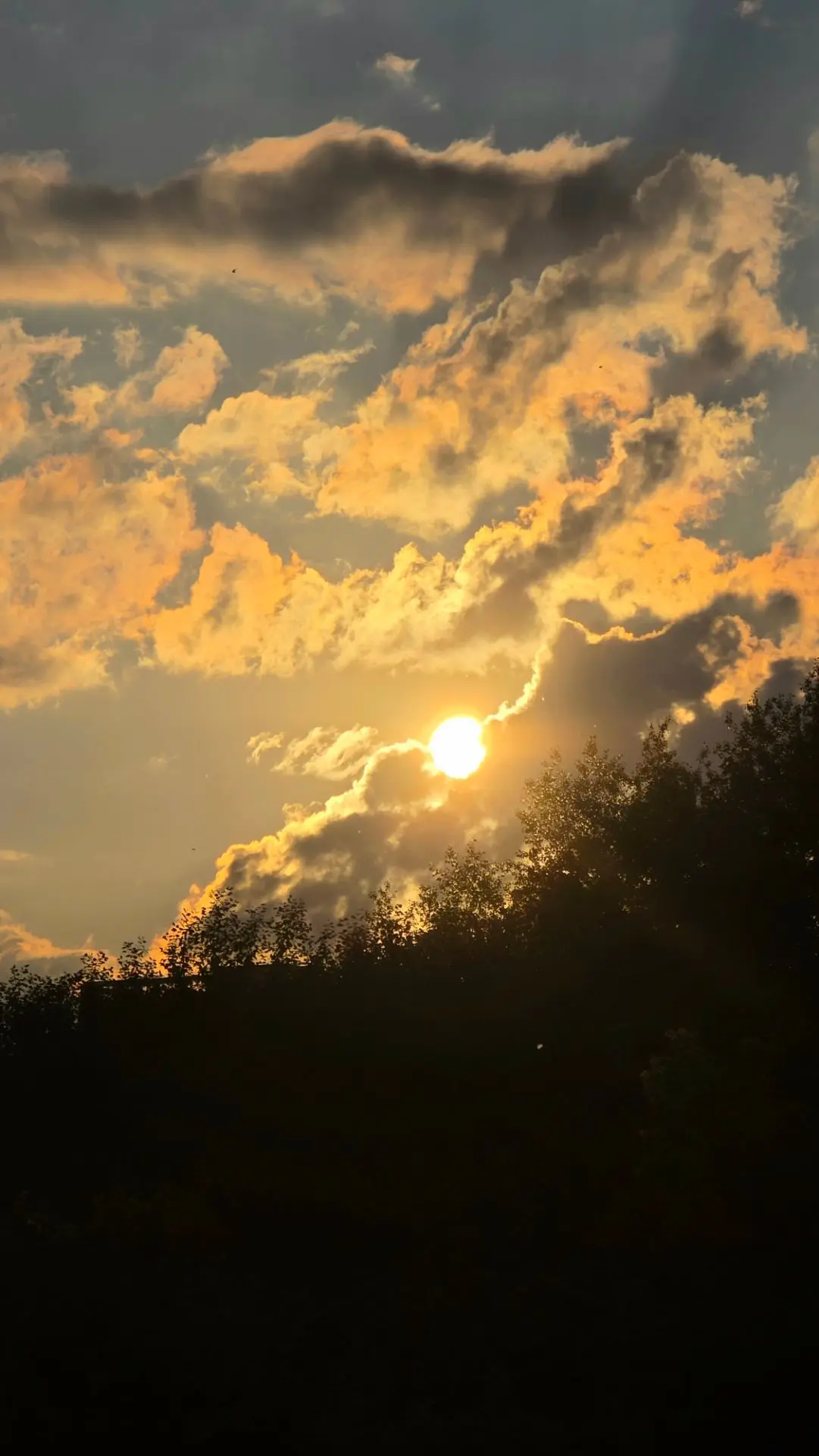 С пятницей! Солнечных ☀️ и уютных выходных💫