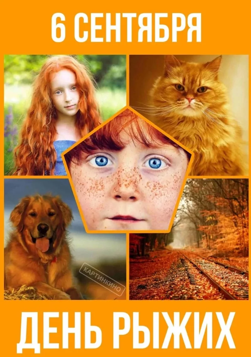 📅 #ИнтересныеДаты | September 6: Ginger Day 👩‍🦰🐈