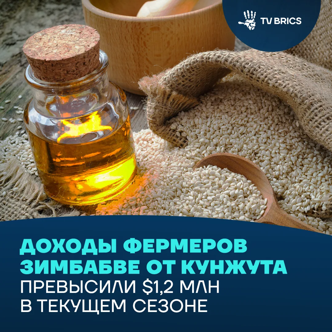 🇿🇼📈 Спрос на здоровое питание, косметику и растительные масла подталкивает рост производства кунж