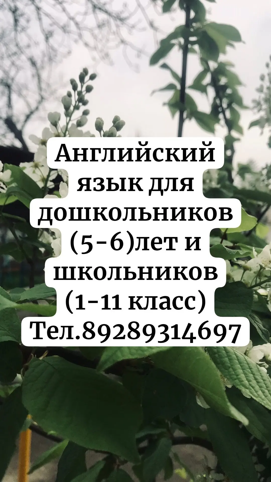 📚Подготовка к экзаменам по

📌Истории 
📌Обществознанию 

📍Репетитор по английскому языку для дошк