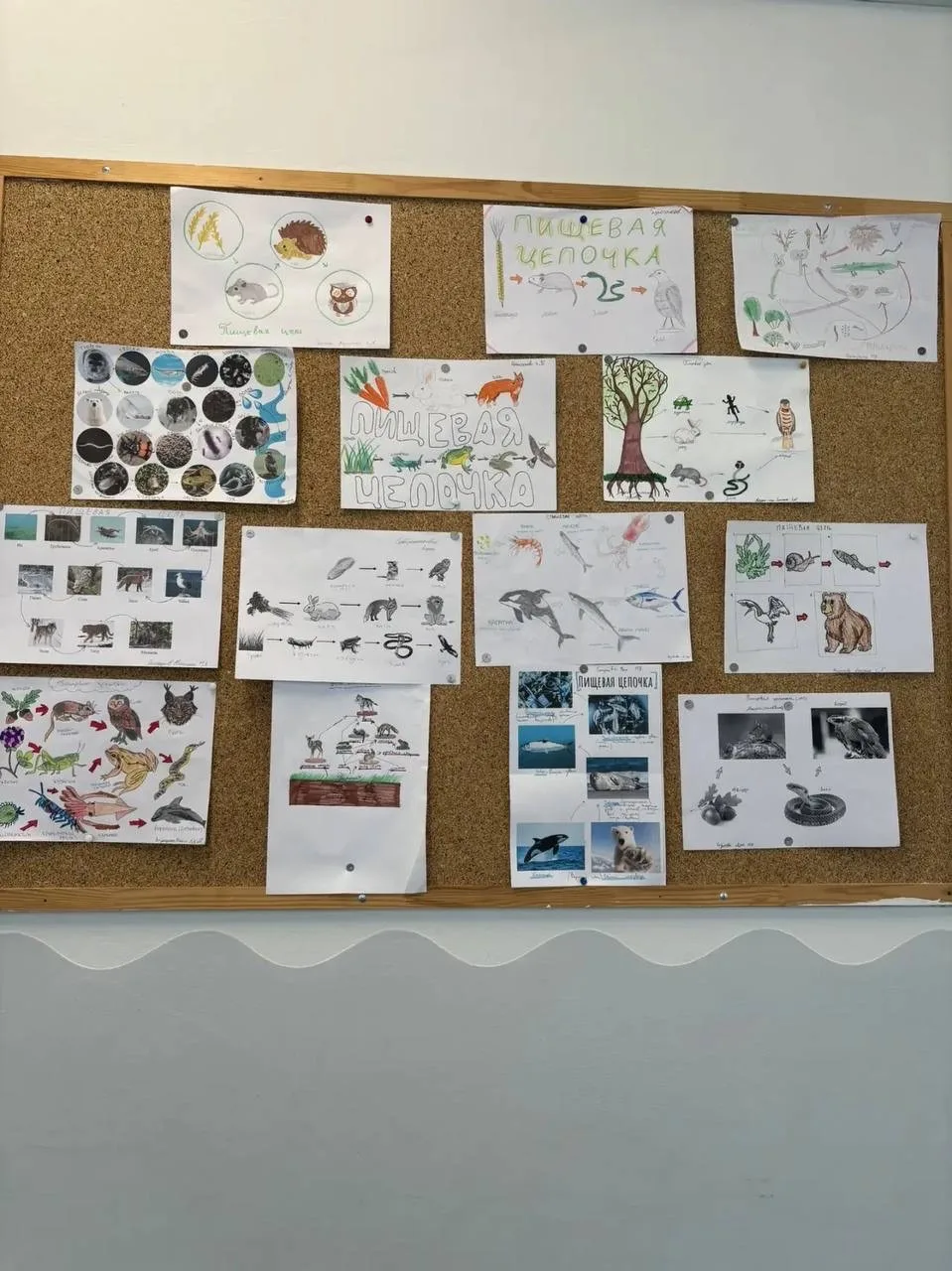 🌍🔬 Подводим итоги естественно-научной недели в школе! 🧪🌿  В нашей школе прошла яркая, насыщенная и п