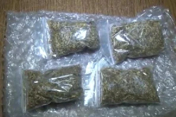 22-летняя девушка пыталась провезти в плюшевом мишке наркотики через ростовскую границу