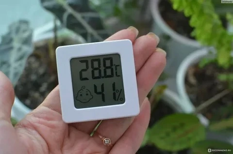 Привет, мои дорогие садоводы и любители зелёных уголков! 💚