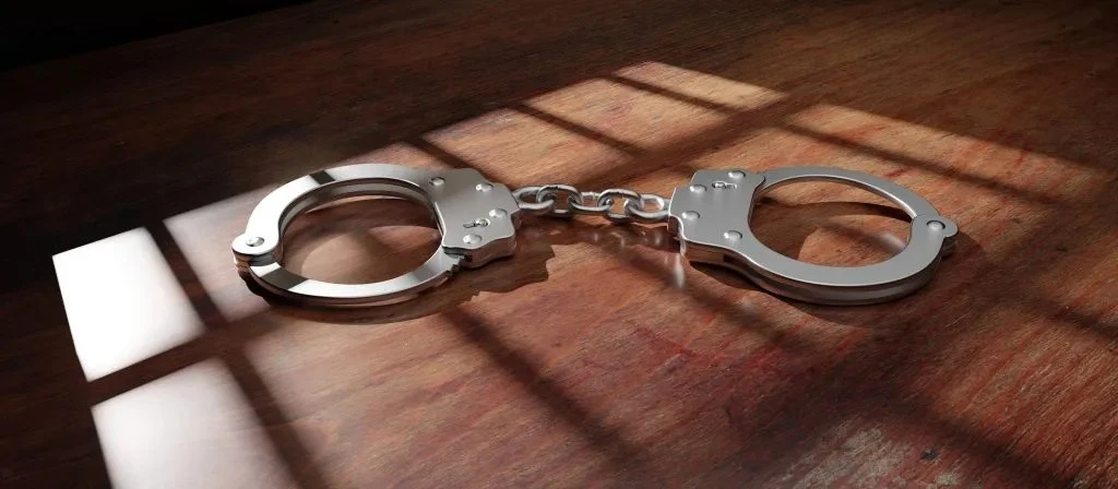 В Дофаре задержаны трое за ввоз мяса диких птиц без разрешений