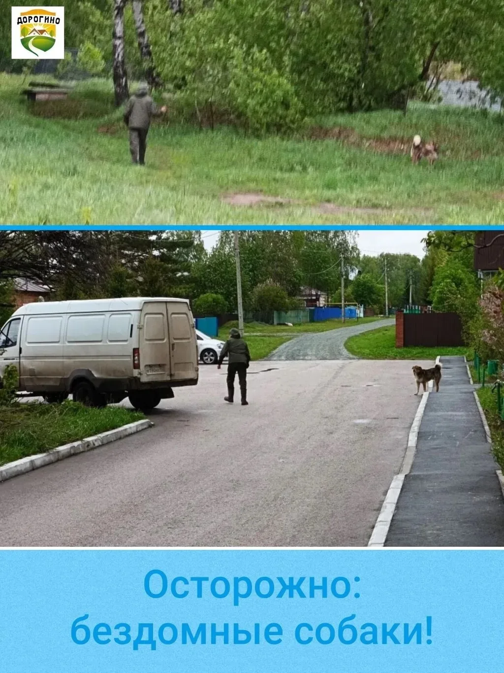 🏙️ В посёлке провели отлов бездомных животных по заявкам жителей. Специалисты службы о...