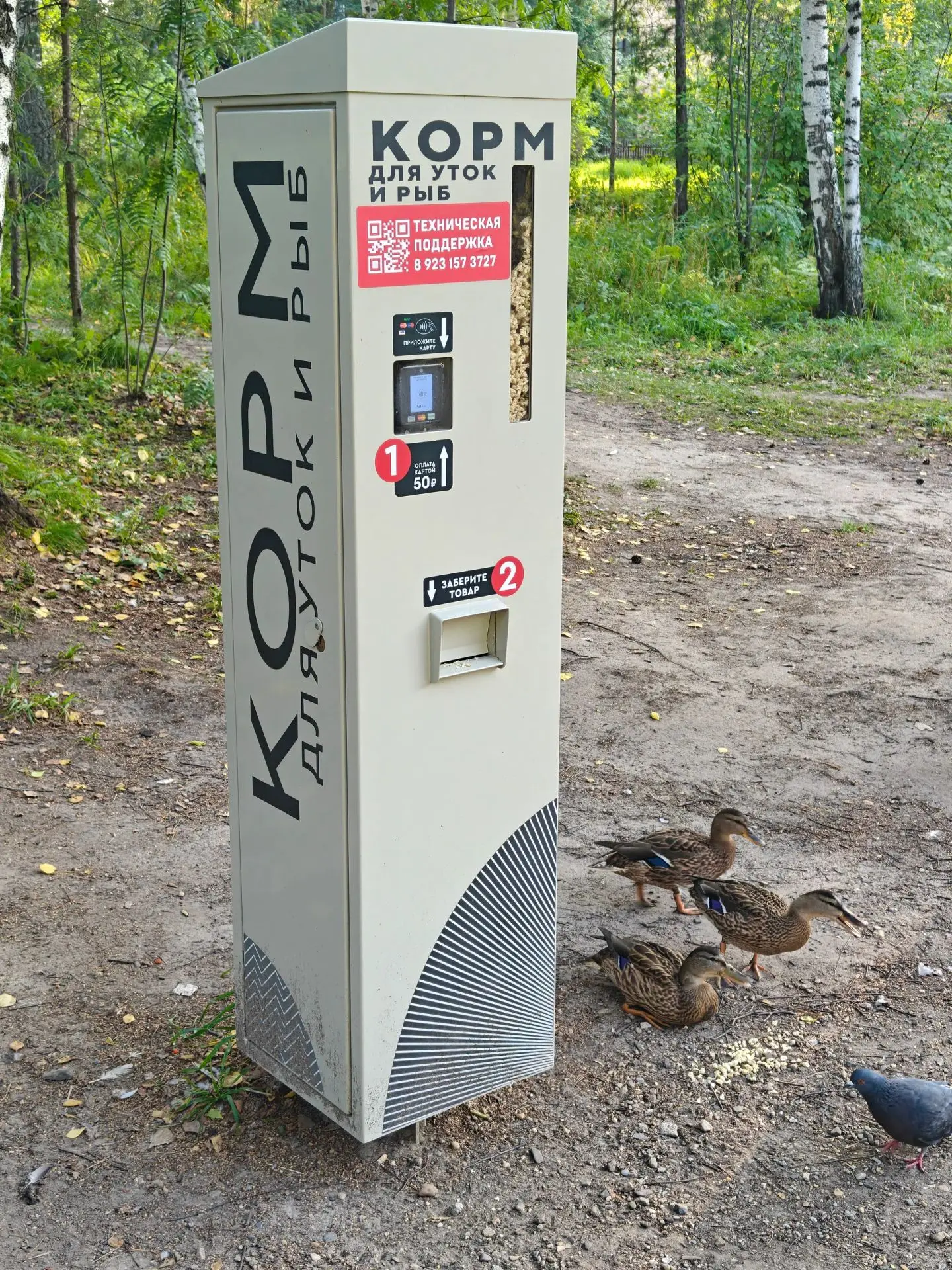 Утиная мудрость не знает границ! 26.08.2026