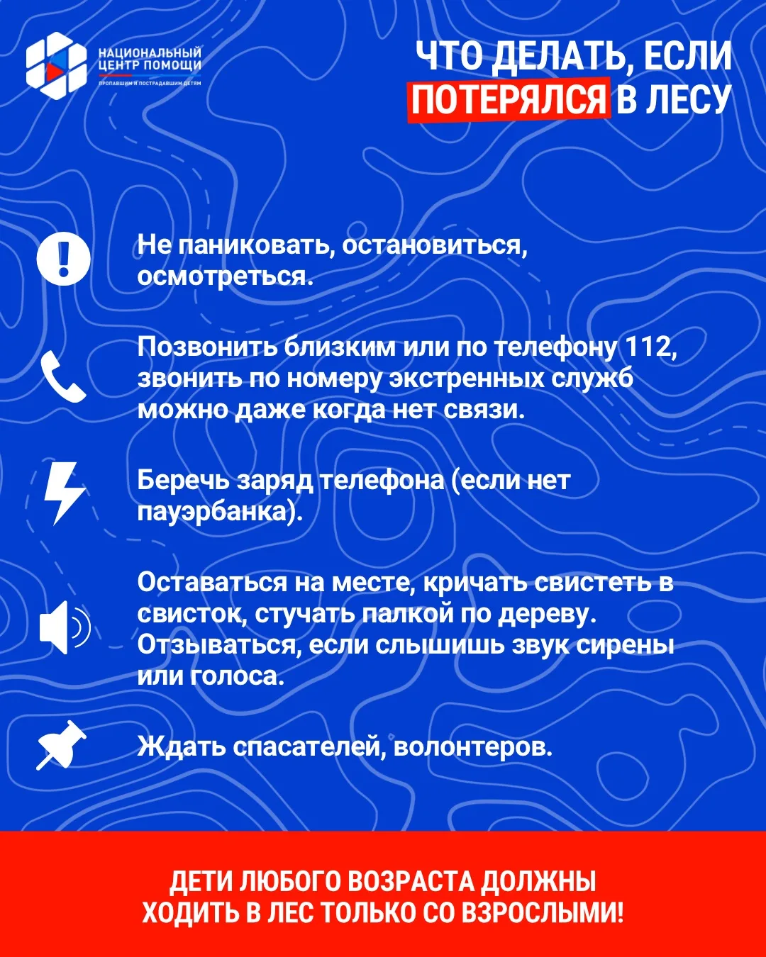 Не забывайте о безопасности в лесу🌲