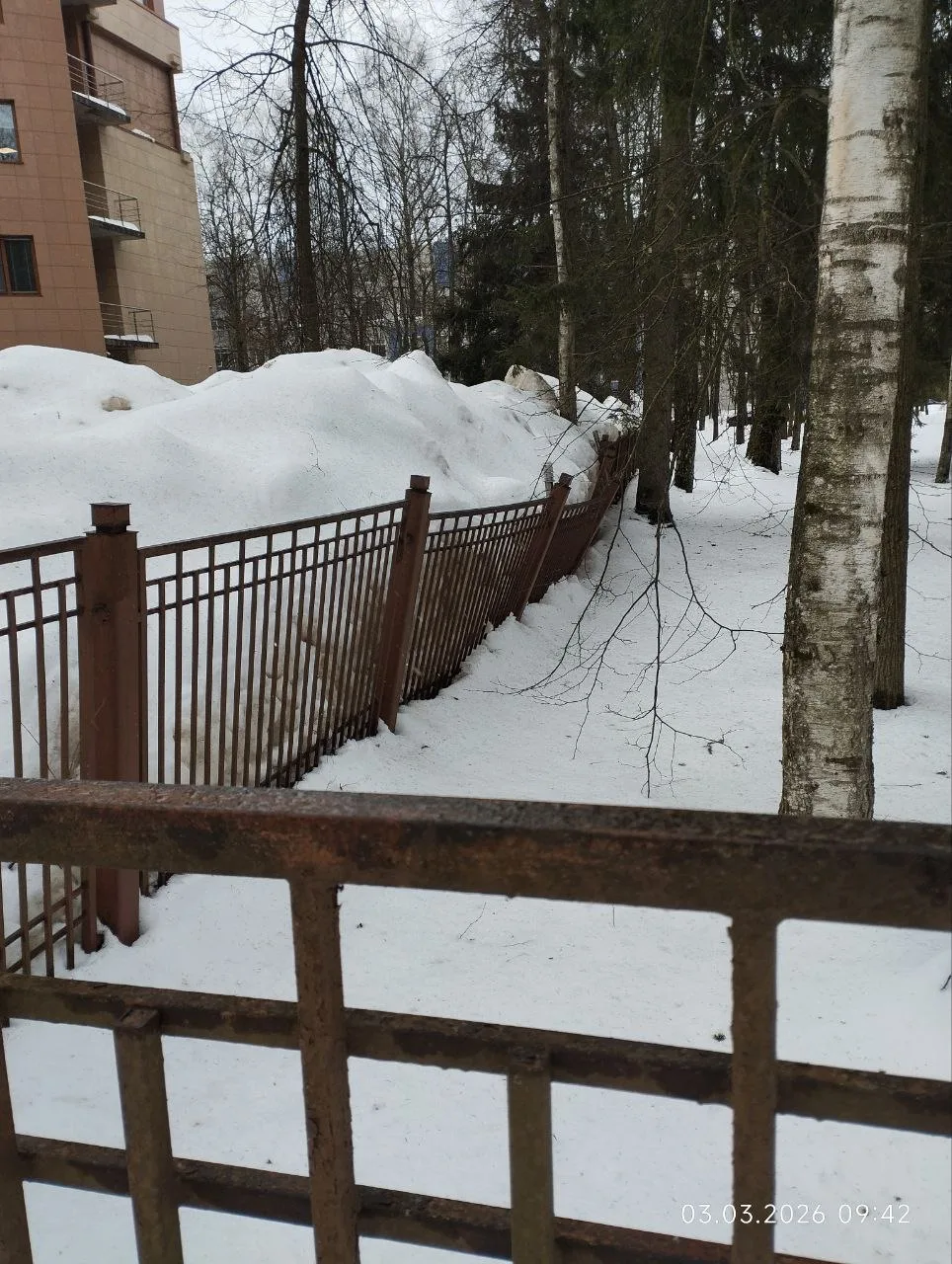 ❄️ Уровень снега в Обнинске: сугробом хорошо так прижало забор между Британикой и МРНЦ ...