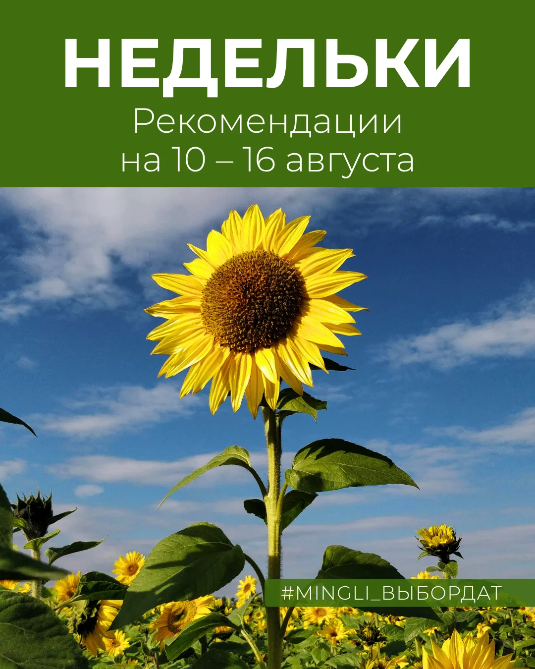 💯 Рекомендации на неделю 10 – 16 августа