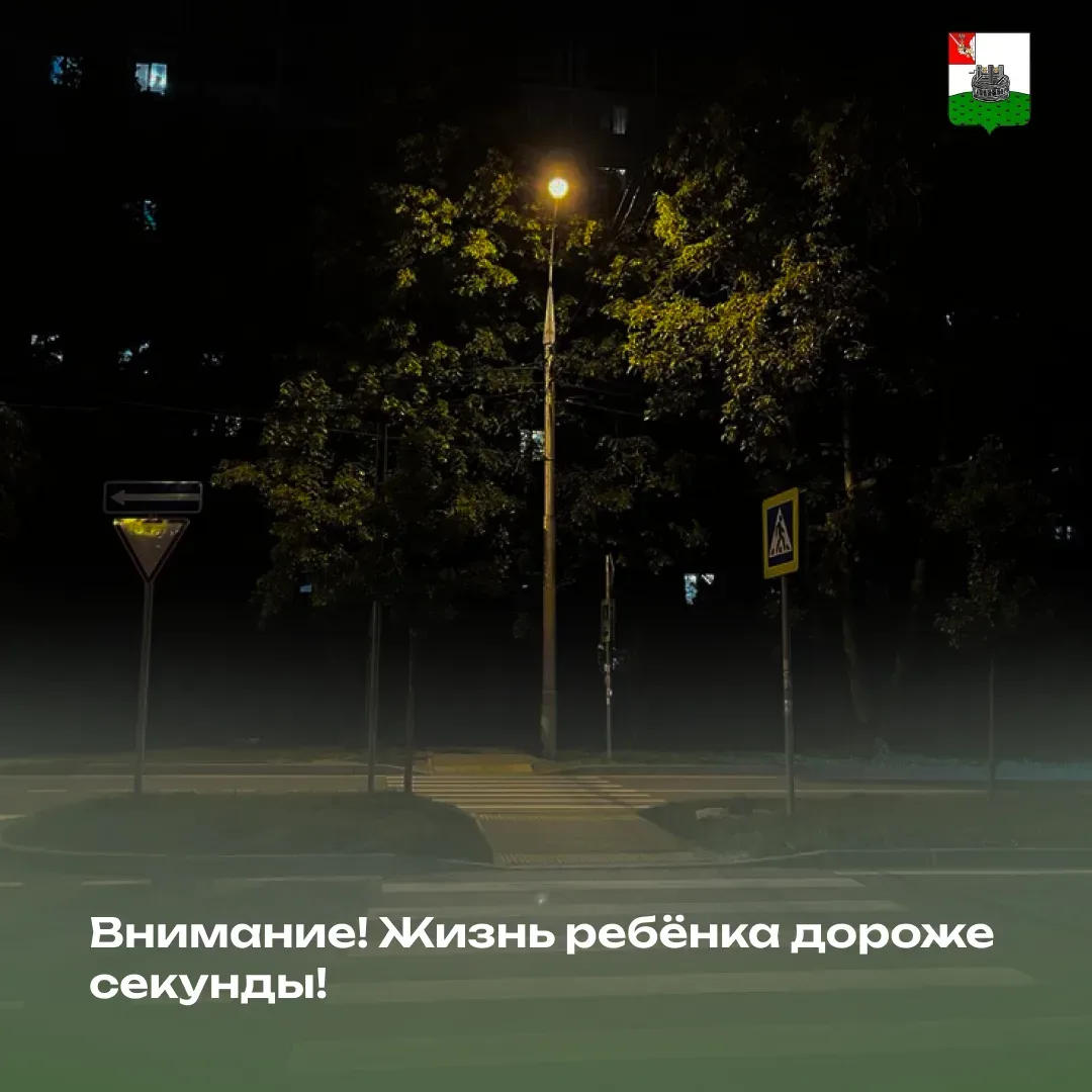 🚗 Безопасность на дорогах — ответственность каждого!