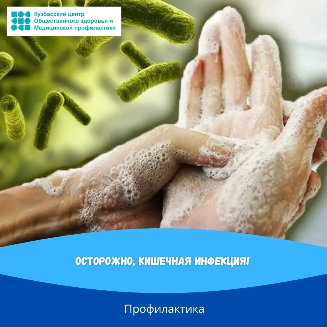 📍В теплое время года, когда условия окружающей среды способствуют быстрому размножению...