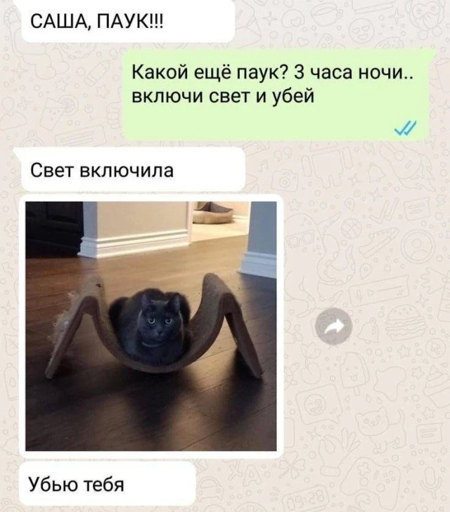 А за что Сашу убивать?